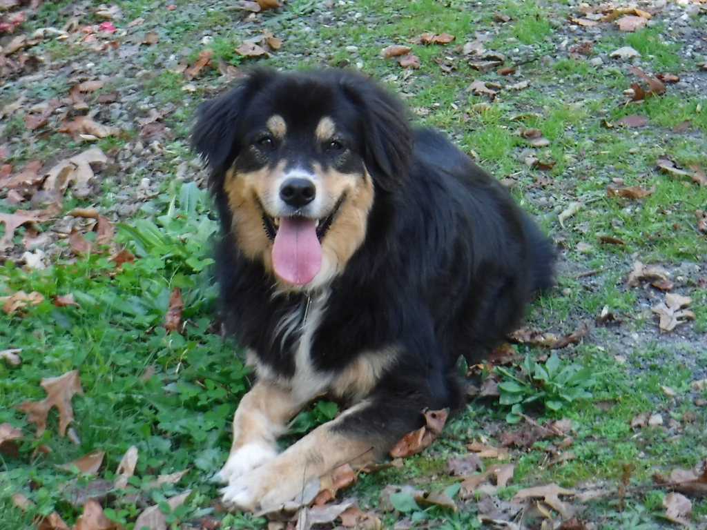 Rocky - November 2017